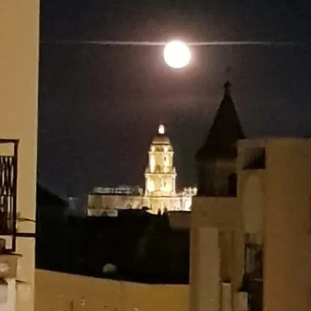 Con Vistas A La Catedral A 15 Minutos Del Centro Malaga